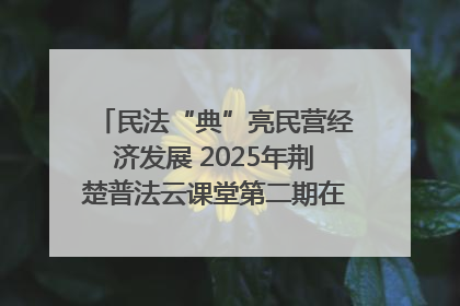 民法“典”亮民营经济发展 2025年荆楚普法云课堂第二期在武汉客厅开讲