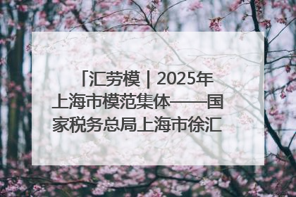汇劳模｜2025年上海市模范集体——国家税务总局上海市徐汇区税务局第一税务所