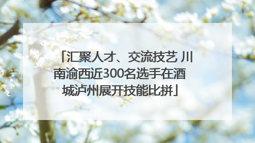 汇聚人才、交流技艺 川南渝西近300名选手在酒城泸州展开技能比拼