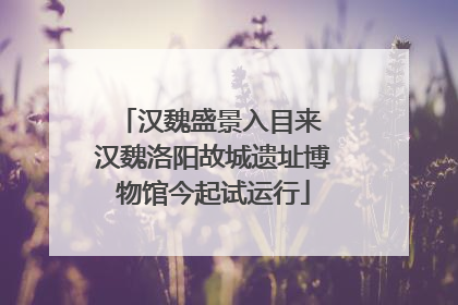 汉魏盛景入目来 汉魏洛阳故城遗址博物馆今起试运行