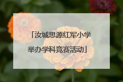 汝城思源红军小学举办学科竞赛活动