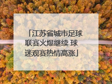 江苏省城市足球联赛火爆继续 球迷观赛热情高涨