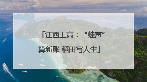 江西上高：“蛙声”算新账 稻田写人生