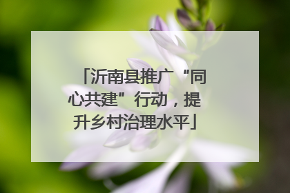 沂南县推广“同心共建”行动，提升乡村治理水平