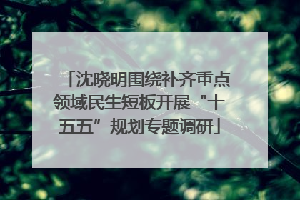 沈晓明围绕补齐重点领域民生短板开展“十五五”规划专题调研
