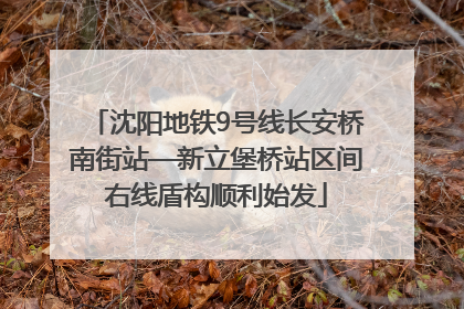沈阳地铁9号线长安桥南街站—新立堡桥站区间右线盾构顺利始发