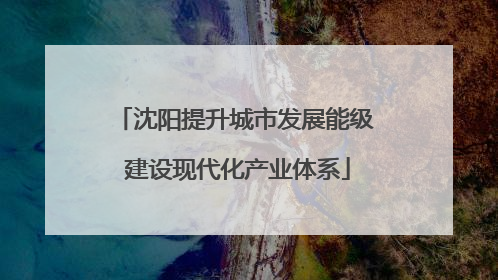 沈阳提升城市发展能级 建设现代化产业体系