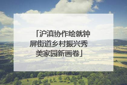 沪滇协作绘就钟屏街道乡村振兴秀美家园新画卷