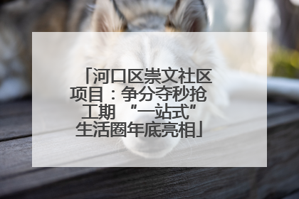 河口区崇文社区项目：争分夺秒抢工期 “一站式”生活圈年底亮相