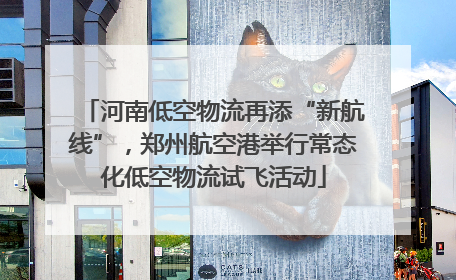河南低空物流再添“新航线”，郑州航空港举行常态化低空物流试飞活动