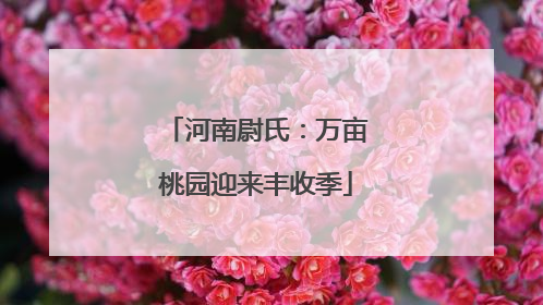 河南尉氏：万亩桃园迎来丰收季