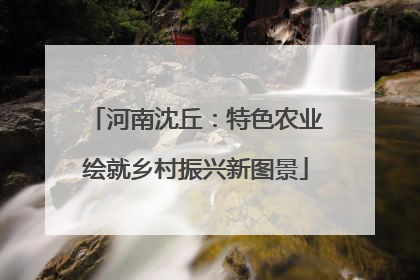 河南沈丘：特色农业绘就乡村振兴新图景