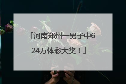 河南郑州一男子中624万体彩大奖！