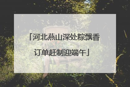 河北燕山深处粽飘香 订单赶制迎端午
