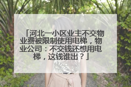 河北一小区业主不交物业费被限制使用电梯，物业公司：不交钱还想用电梯，这钱谁出？