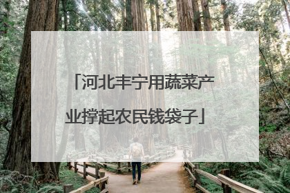 河北丰宁用蔬菜产业撑起农民钱袋子