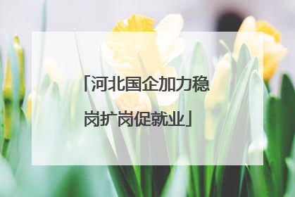 河北国企加力稳岗扩岗促就业