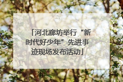 河北廊坊举行“新时代好少年”先进事迹现场发布活动