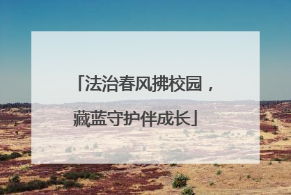 法治春风拂校园，藏蓝守护伴成长