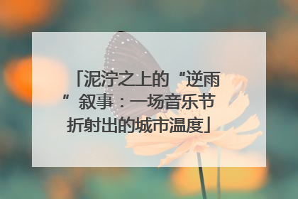 泥泞之上的“逆雨”叙事：一场音乐节折射出的城市温度