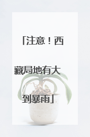 注意！西藏局地有大到暴雨