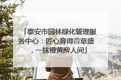 泰安市园林绿化管理服务中心：匠心育得萱草盛，一抹橙黄醉人间