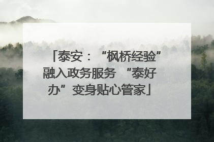 泰安：“枫桥经验”融入政务服务 “泰好办”变身贴心管家