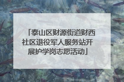 泰山区财源街道财西社区退役军人服务站开展护学岗志愿活动