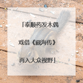 泰顺药发木偶戏借《藏海传》再入大众视野