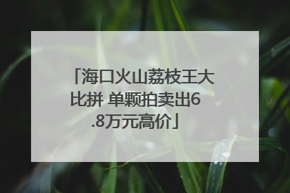 海口火山荔枝王大比拼 单颗拍卖出6.8万元高价