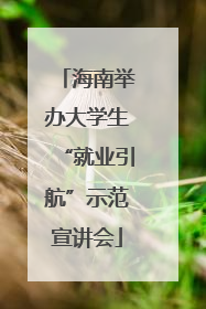 海南举办大学生“就业引航”示范宣讲会