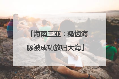 海南三亚：糙齿海豚被成功放归大海