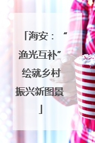 海安：“渔光互补” 绘就乡村振兴新图景