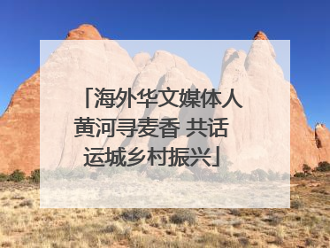 海外华文媒体人黄河寻麦香 共话运城乡村振兴