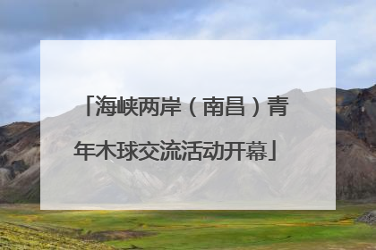 海峡两岸（南昌）青年木球交流活动开幕