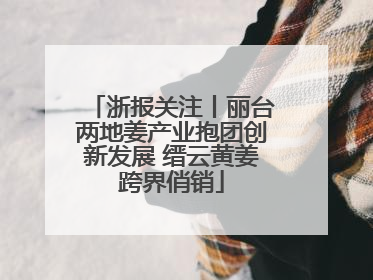 浙报关注丨丽台两地姜产业抱团创新发展 缙云黄姜跨界俏销