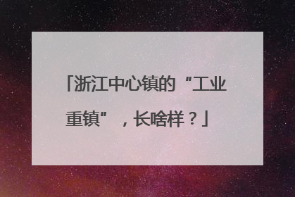 浙江中心镇的“工业重镇”，长啥样？