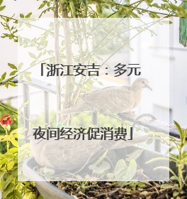 浙江安吉：多元夜间经济促消费