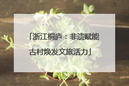 浙江桐庐：非遗赋能古村焕发文旅活力