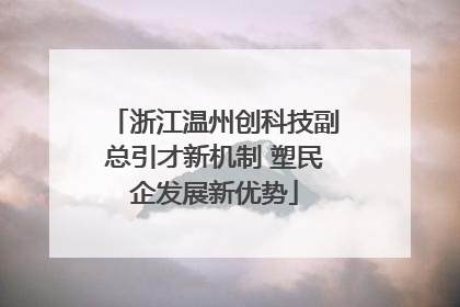 浙江温州创科技副总引才新机制 塑民企发展新优势
