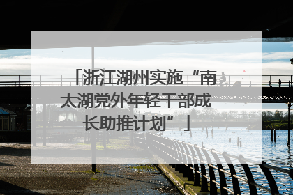 浙江湖州实施“南太湖党外年轻干部成长助推计划”