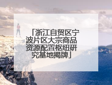 浙江自贸区宁波片区大宗商品资源配置枢纽研究基地揭牌