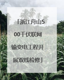 浙江舟山500千伏联网输变电工程开展双线检修