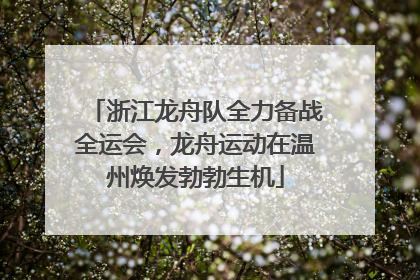 浙江龙舟队全力备战全运会，龙舟运动在温州焕发勃勃生机