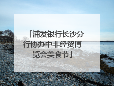 浦发银行长沙分行协办中非经贸博览会美食节