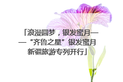 浪漫圆梦，银发蜜月——“齐鲁之星”银发蜜月新疆旅游专列开行
