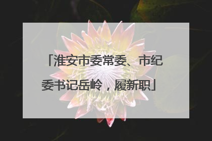 淮安市委常委、市纪委书记岳岭，履新职