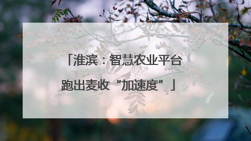 淮滨：智慧农业平台跑出麦收“加速度”