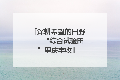 深耕希望的田野——“综合试验田”里庆丰收