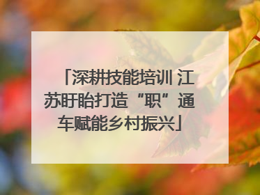 深耕技能培训 江苏盱眙打造“职”通车赋能乡村振兴